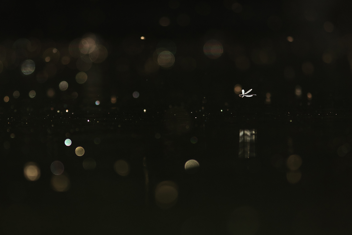 juin (16)