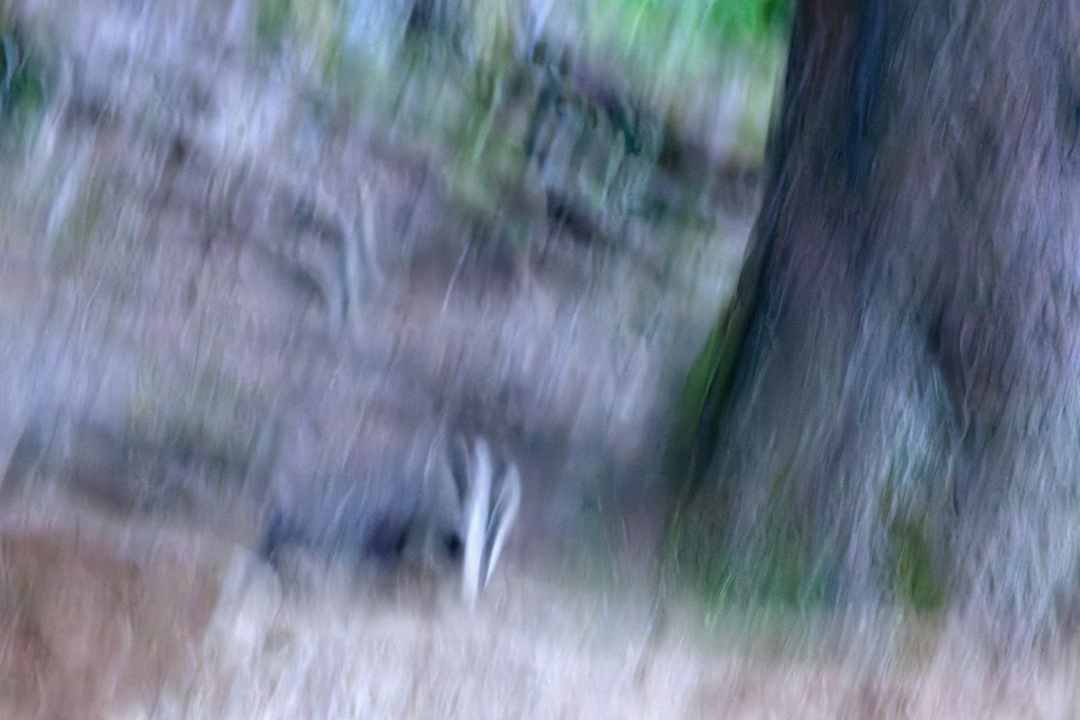 228 (2)