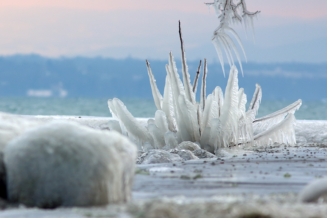 glace lac léman gelé
