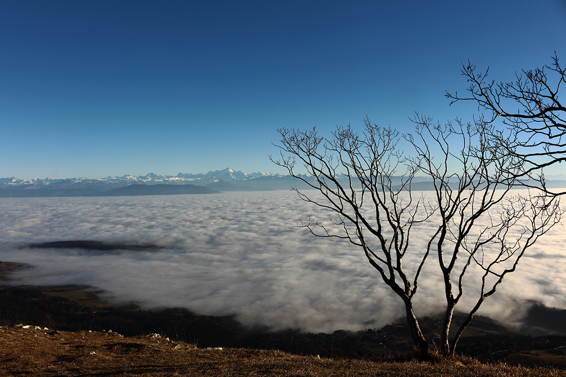 Astrophotographie : le cercle d'hiver dans le ciel étoilé du Jura. — Le  blog ! Conseils et techniques de photographie nature