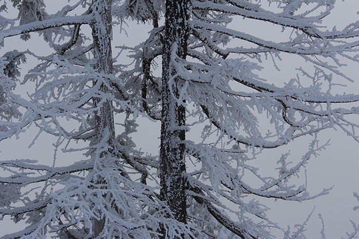 Le Semnoz en hiver, près d’Annecy, julien arbez