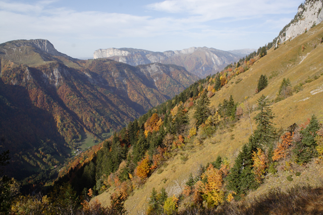 Vallée de Montremont en automne, arbez